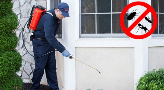 Kilimli Akrep İlaçlama böcek ilaçlama ve haşere kontrolü — ilaclama-tr.com